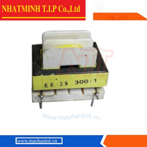 CẦU 300.1