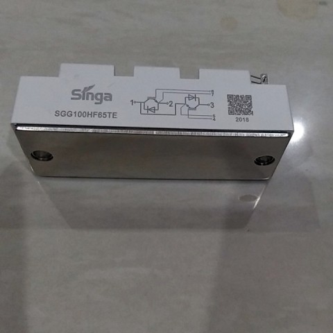 IGBT khối SGG100HF65 (100A 650V)